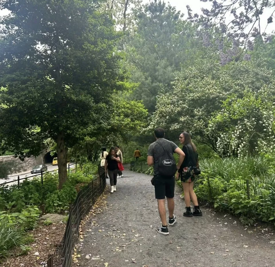 凤姐在纽约中央公园出没,低头玩手机、身材臃肿
